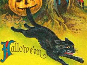 000_kočka_Halloween Postcard(5).jpg
