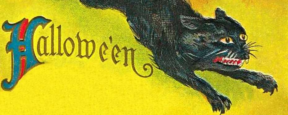Halloween a černá kočka