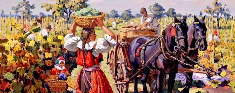 Zarážení hory a vinobraní - lidové zvyky, tradice a pranostiky