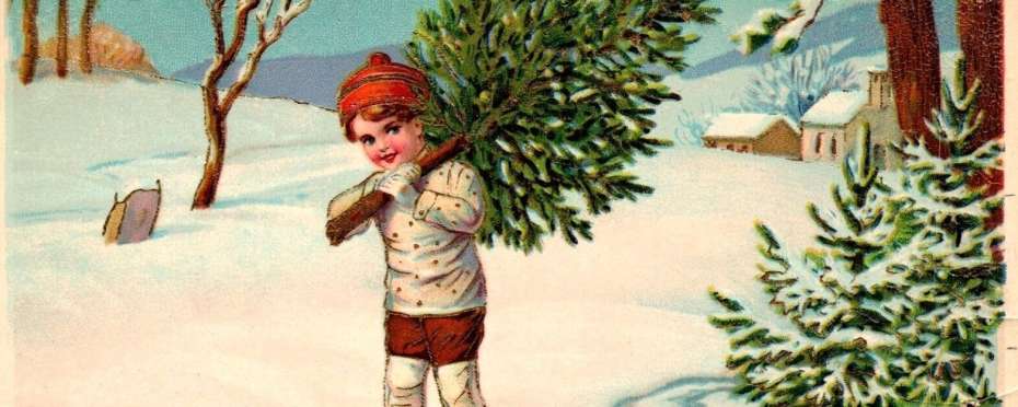 Kdy nastává čas rozloučit se s vánočním stromečkem?