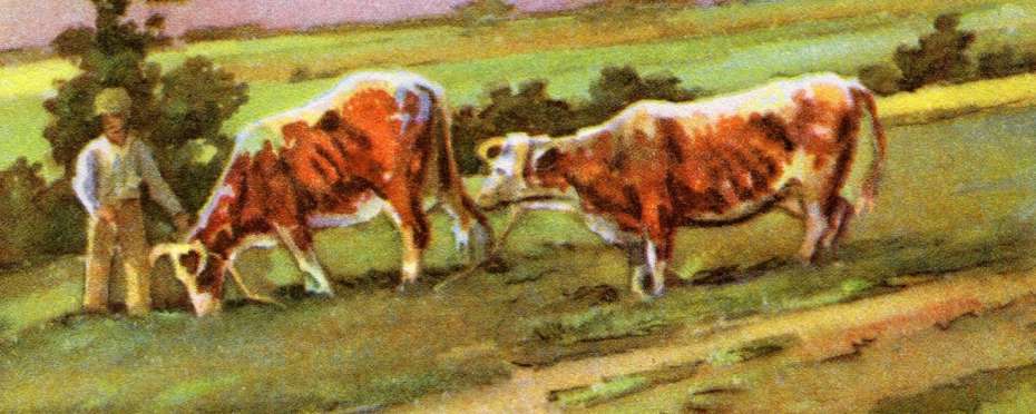 Práskání dlouhým bičem - svatodušní šumavský zvyk