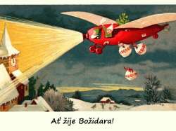 Božidara