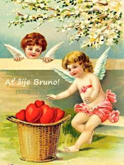 Bruno