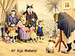 Mabela