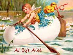 Aleš