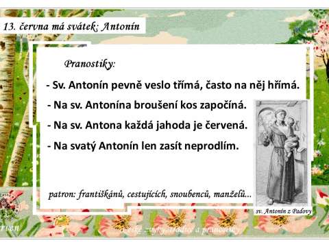 13. 6. pranostiky.jpg