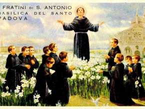 13.6.sv.AAnt.jpg