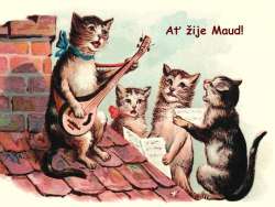 Maud