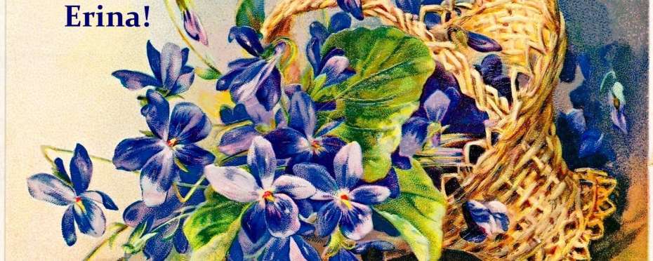 Erina
