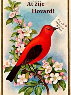 Hovard