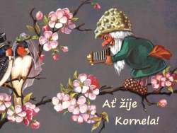 Kornela