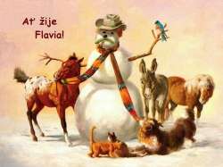 Flavia