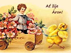 Áron