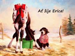 Erica