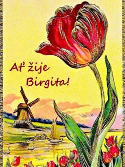 Birgita