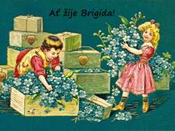 Brigida