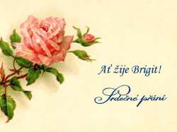 Brigit