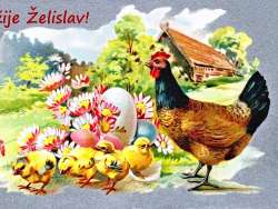 Želislav