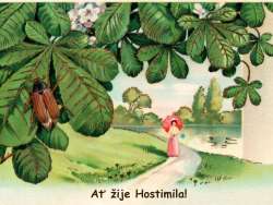 Hostimila