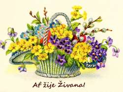 Živana