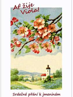 Viola