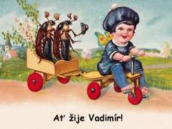 Vadimír