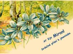 Miron