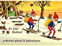 Robin