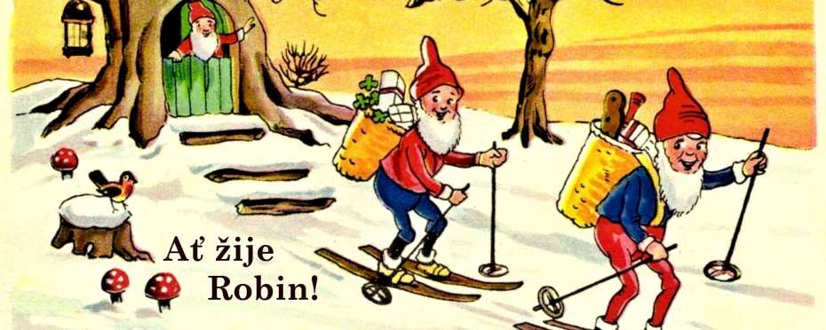 Robin