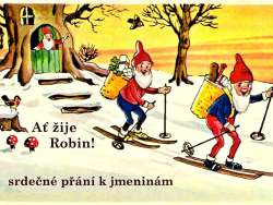 Robin