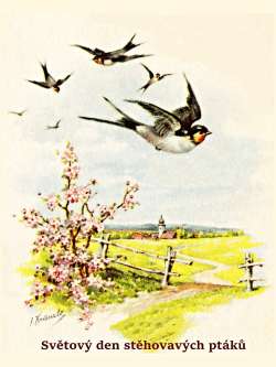 Světový den stěhovavých ptáků