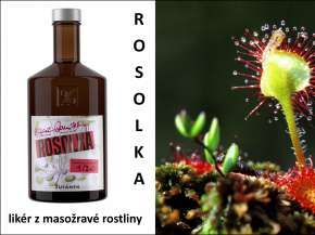 Rosolka likér.jpg