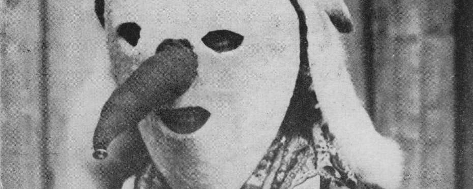 Masopustní maska – Charpa (archaická maska "Žida")