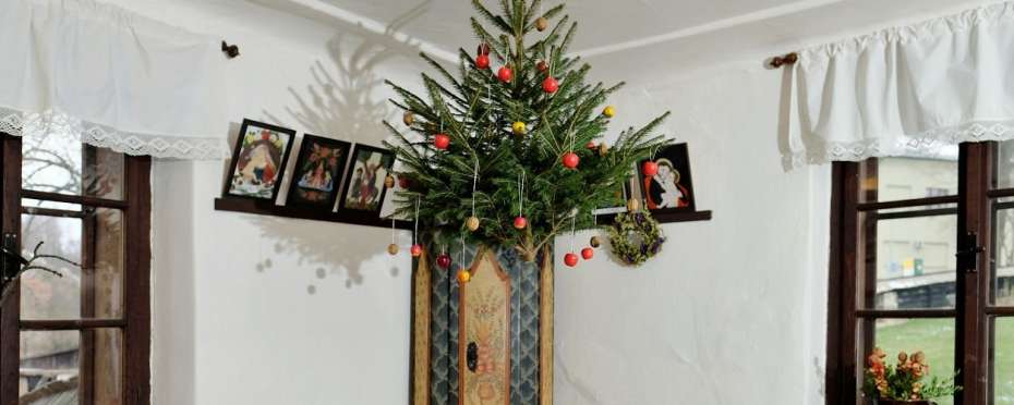 Větvičky jehličnanů zvané „ščestí, ščedrák“ – jsou předchůdci vánočního stromečku?