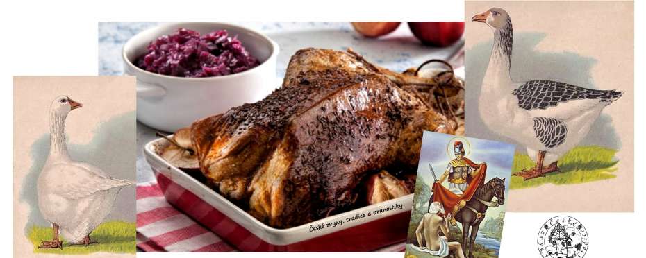 Svatomartinské tradice - období lidových veselic, posvícení, husích pečínek a prvního vína