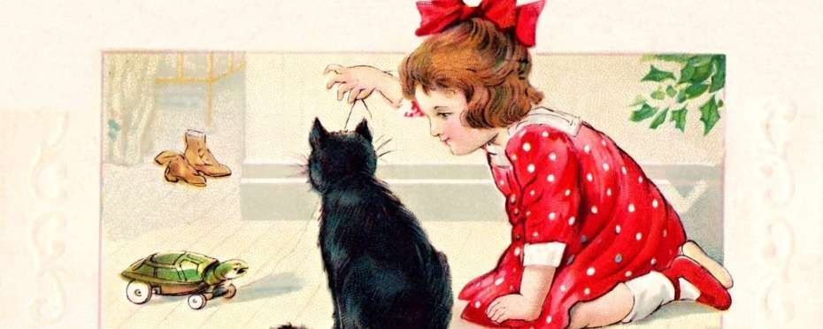 Proč se říká – Je to pro kočku