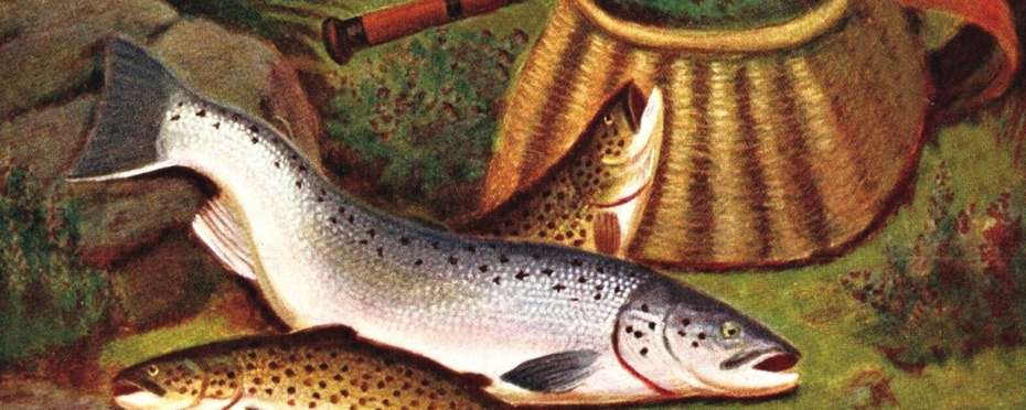 Ryba jako nejstarší křesťanský symbol