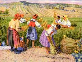 Sbírání konopí v Kněždubu, 1917.jpg