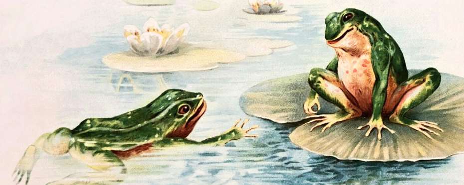 Stínání žáby - svatodušní zvyky a tradice