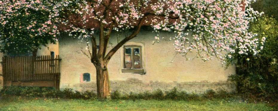 Zpěv vodního ptáka - svatodušní šumavský zvyk