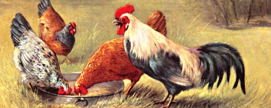 Proč se říká – Zapřel ho, jak Petr Krista