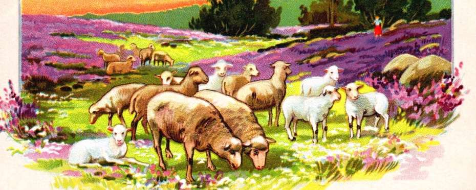 Na Velikonoce jasno - bude laciné máslo, pranostiky pašijového týdne