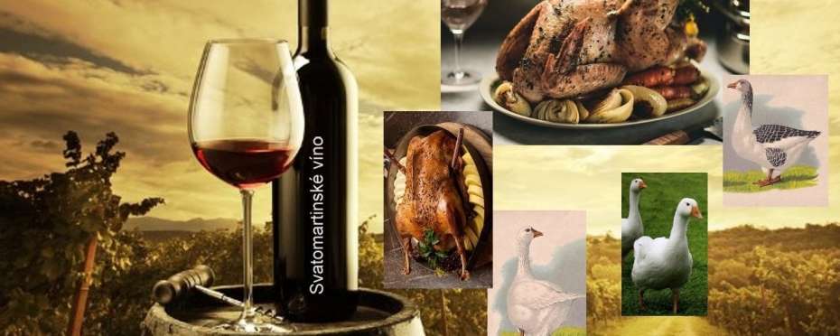 O martinském víně a proč je od 11. listopadu víno nové, lidové zvyky a pověry